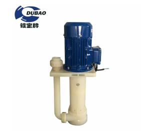 PVDF Vertical Inline Pump-2