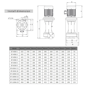 Vertical Pump BT Series dimension